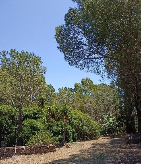 Chia - Casarosa Villa Domus De Maria Dış mekan fotoğraf